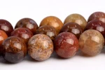 Natural Ocean Fossil Agate Beads Mexico Grade Aaa Round Loose 6/8/10/12MM. Fixed Price $8.59.