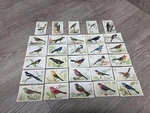 1922 Church & Dwight Arm Hammer Useful Birds Of America 3RD Series Complete. Fixed Price $50.00.