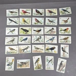 Vintage Church & Dwight Useful Birds Of America 3RD Series Arm Hammer. Fixed Price $49.95.
