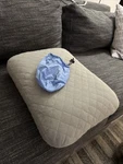 Cocoon Aircore Lumbar Ultralight Pillow, Blue/grey. Fixed Price $18.00.
