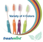 Freshmint Individually (100 Pack) Wrapped Premium Toothbrush With Oversized Easy. Fixed Price $48.00.