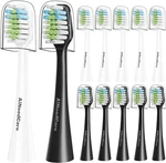 12 Pack Toothbrush Replacement Heads Only For Aquasonic Duo Series And Home Dent. Fixed Price $26.71.