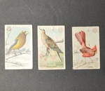 1915 Church & Dwight Arm Hammer Useful Birds Of America Small Size Set 3. Fixed Price $9.00.