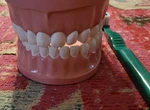 Vtg Teeth Dentist Xl Display Prop With Toothbrush Art Decor Moves Dental. Fixed Price $38.33.