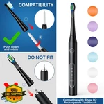 Harobey 10 Pack Replacement Toothbrush Heads For Bitvae Daily D2 Black. Fixed Price $20.00.