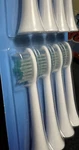 16 Swissco Replacement Toothbrush Heads For Oral Genius Smart &pro (2 Pk Of 8). Fixed Price $24.97.
