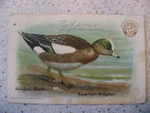Church & Co Arm Hammer Brand Series No. 4 Trading Card American Widgeon. Fixed Price $10.00.