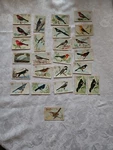 1908 Church & Co Arm Hammer Series Of Birds 26 Cards Total. Fixed Price $26.00.