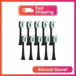 Densecc Replacement Toothbrush Heads Compatible With Aquasonic Icon Electric. Fixed Price $18.31.