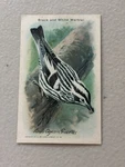 Card Arm & Hammer Church Dwight No. 10 Black White Warbler Useful Birds. Fixed Price $5.00.