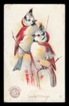 Circa 1880/90'S Arm & Hammer Church Co. Beautiful Birds Trading Cards You Pick. Fixed Price $12.99.