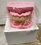 Crest Model Teeth Brush Floss Demo Dental Display W/ Original Box. Fixed Price $16.99.