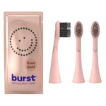 Burst Genuine Replacement Heads For Original Sonic Electric Toothbrush (rose .... Fixed Price $29.14.