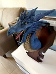 Mounted Dragon Head Wall Decorations IMAGIN3DESIGNS Bust Plaque Fantasy. Fixed Price $66.00.