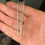 Pure Silver .9999 Toothpick/texas/cowboy Single X1. Fixed Price $25.00.