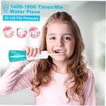Water Dental Flosser 250ML Portable Oral Irrigator Rechargeable For Travel L3M8. Fixed Price $20.00.