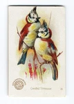 Crested Titmouse Arm & Hammer Beautiful Bird Series No 16 J2 Church Co. Fixed Price $9.75.