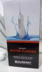 Belmint Smart Water Flosser BEL-000 Countertop Rechargeable W/ 2 Nozzles. Fixed Price $18.50.