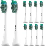 10 Pack Heads With Tao Clean Adults,. Fixed Price $38.56.