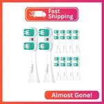 Ympbo Replacement Heads Compatible With Spinbrush Pro Clean Toothbrush,. Fixed Price $14.80.