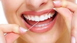 Lot Of 144 Wholesale Mint Waxed Dental Floss 12 Yards Per Unit ( 1,728 ). Fixed Price $109.50.